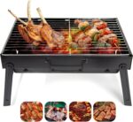 portable grills for outdoor cooking and picnics